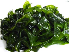 Wakamé : une algue présente dans les gélules Ketoslim