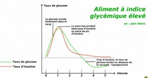 insuline et glycémie