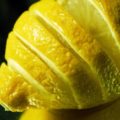 citron bruleur de graisse